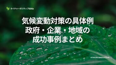 気候変動対策の具体例：政府・企業・地域の成功事例まとめ