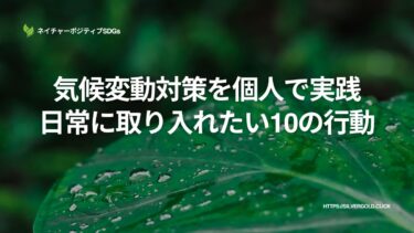気候変動対策を個人で実践：日常に取り入れたい10の行動