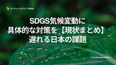 SDGs気候変動に具体的な対策を【現状まとめ】：遅れる日本の課題
