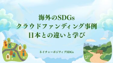 海外のSDGsクラウドファンディング事例：日本との違いと学び